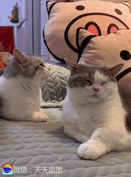 搞笑大哥爆笑图片,搞笑动图走一波