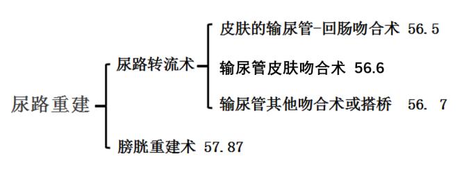 尿路改道方案,尿路改道一般改到哪里出尿