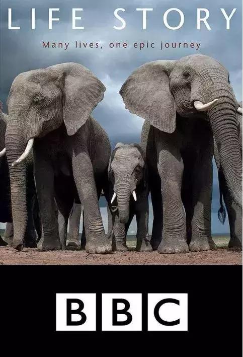 长春家长都领着孩子在干这件事儿,你没做,就落后了!