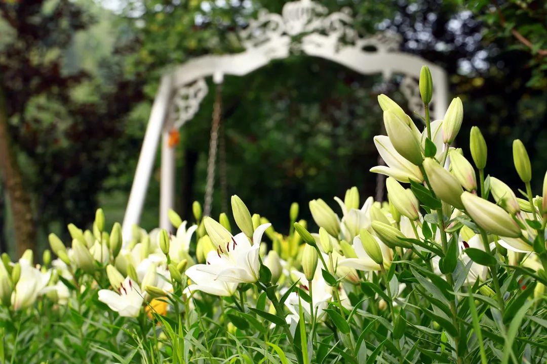 在济南花式避暑,一见“清”心!只需一瞥,便足以把酷夏原谅…