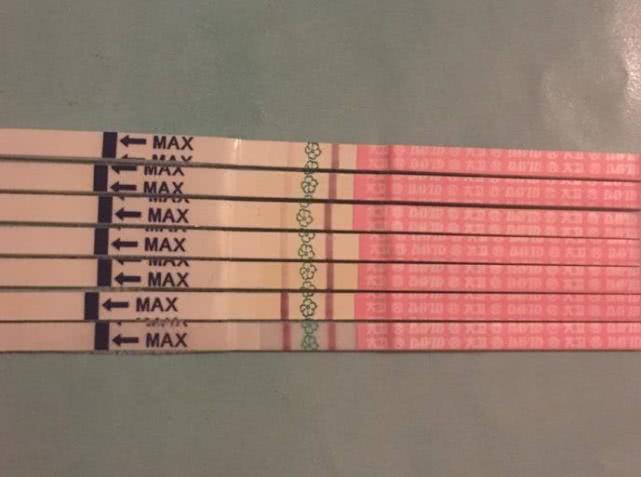 排卵试纸一般多少天测到强阳,排卵试纸测到强阳时间有多久