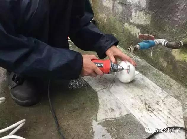 切割陶瓷酒瓶做花盆最简单的方法,没有工具怎么把陶瓷酒瓶弄成花盆