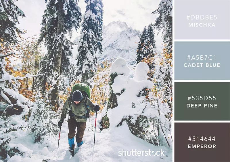 色彩搭配个人形象设计,色彩搭配都是业主亲自选择