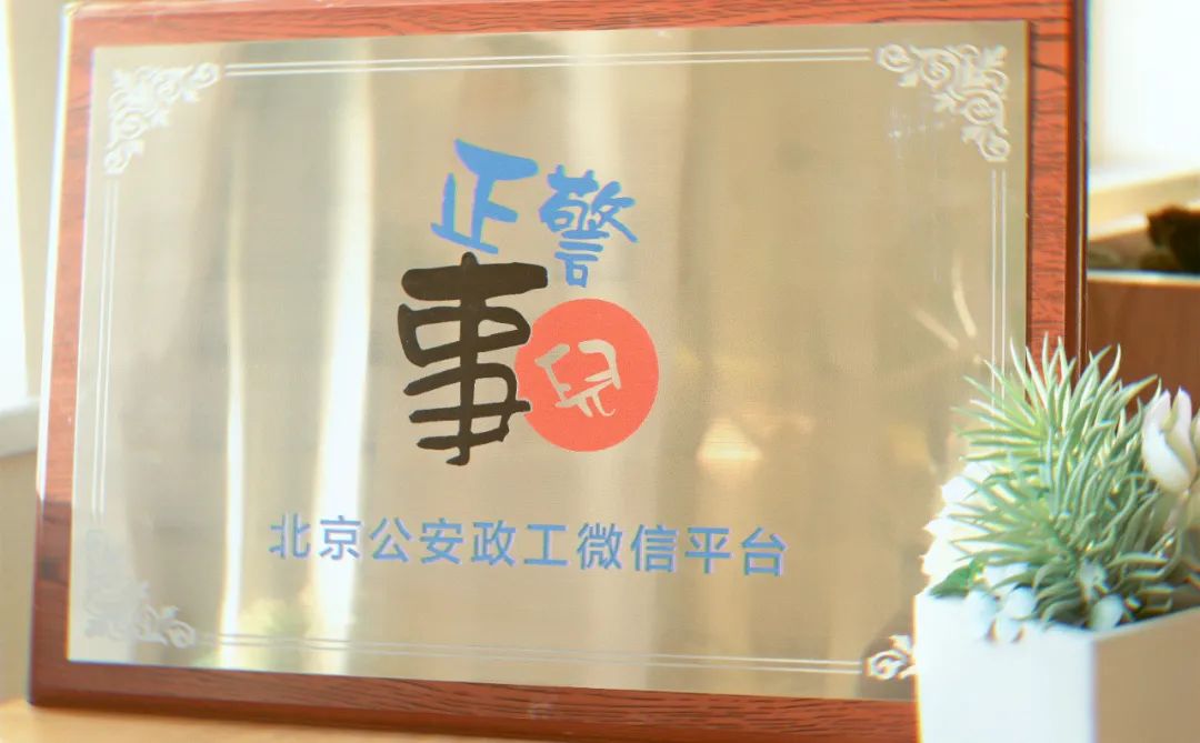 很高兴遇见你完整版,很高兴遇见你直播间