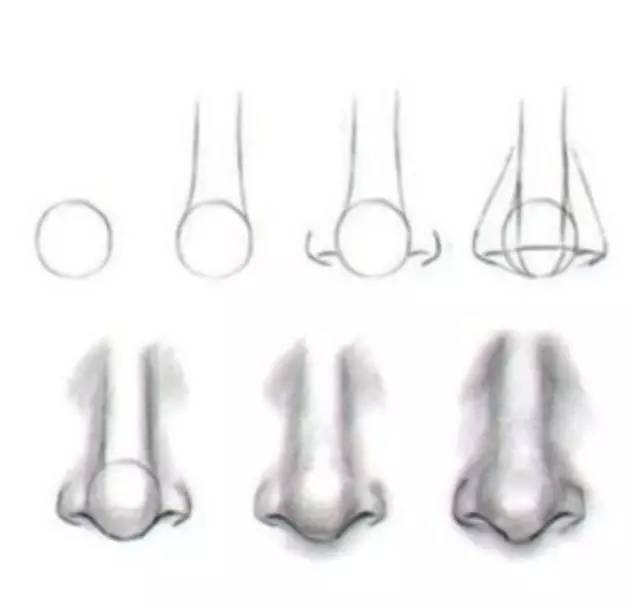 美术速写鼻子教学,美术绘画鼻子教学