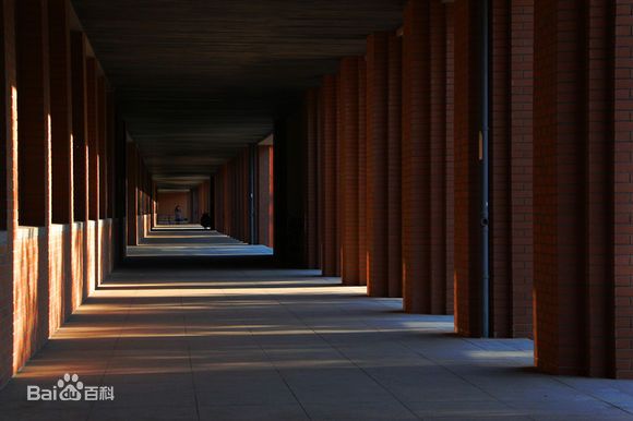 欣然老师指导志愿二本上线同学录取情况（二）