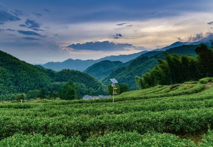 重庆最难走的区,重庆一个很无奈的山城