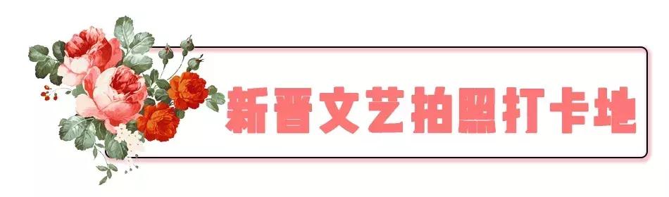 慧园里，南京城中，时光交错的角落