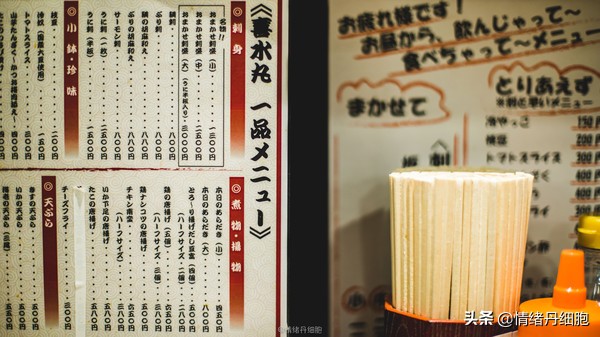 邮轮游选择哪个游轮好,邮轮旅游全攻略公主号