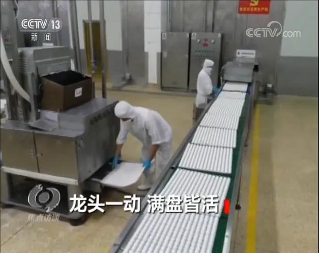 央视焦点访谈同舟共济绿灯畅行,央视谈抱团取暖