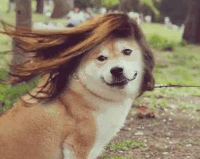 拒绝秃头关于预防脱发的小知识,防脱预警这几招帮助你减少脱发