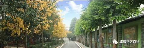 天府新区三大教育集团,天府新区五大教育集团