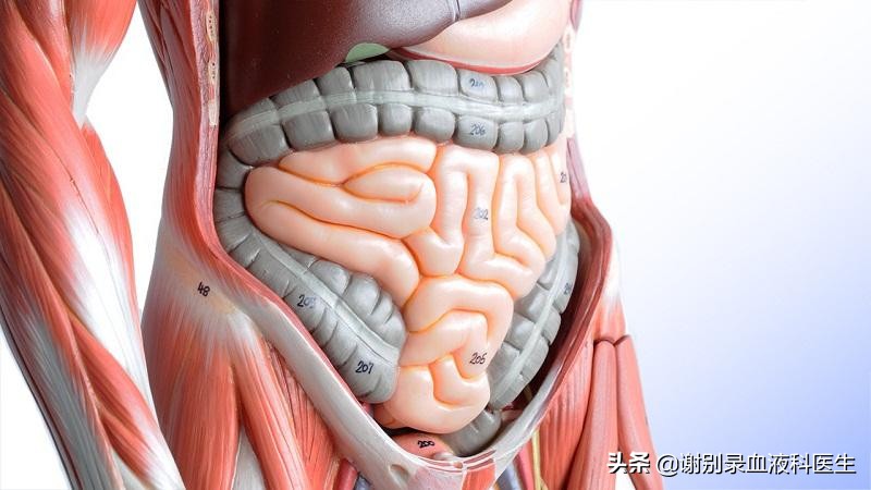 过敏性紫癜潜在并发症护理计划,过敏性紫癜会引起什么并发症