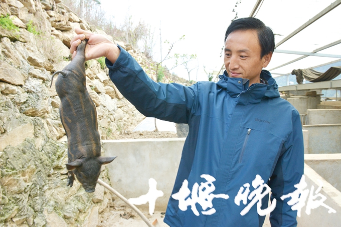 鍗佸牥鐙肩嫍,婀栧寳鍗佸牥鐙肩嫍