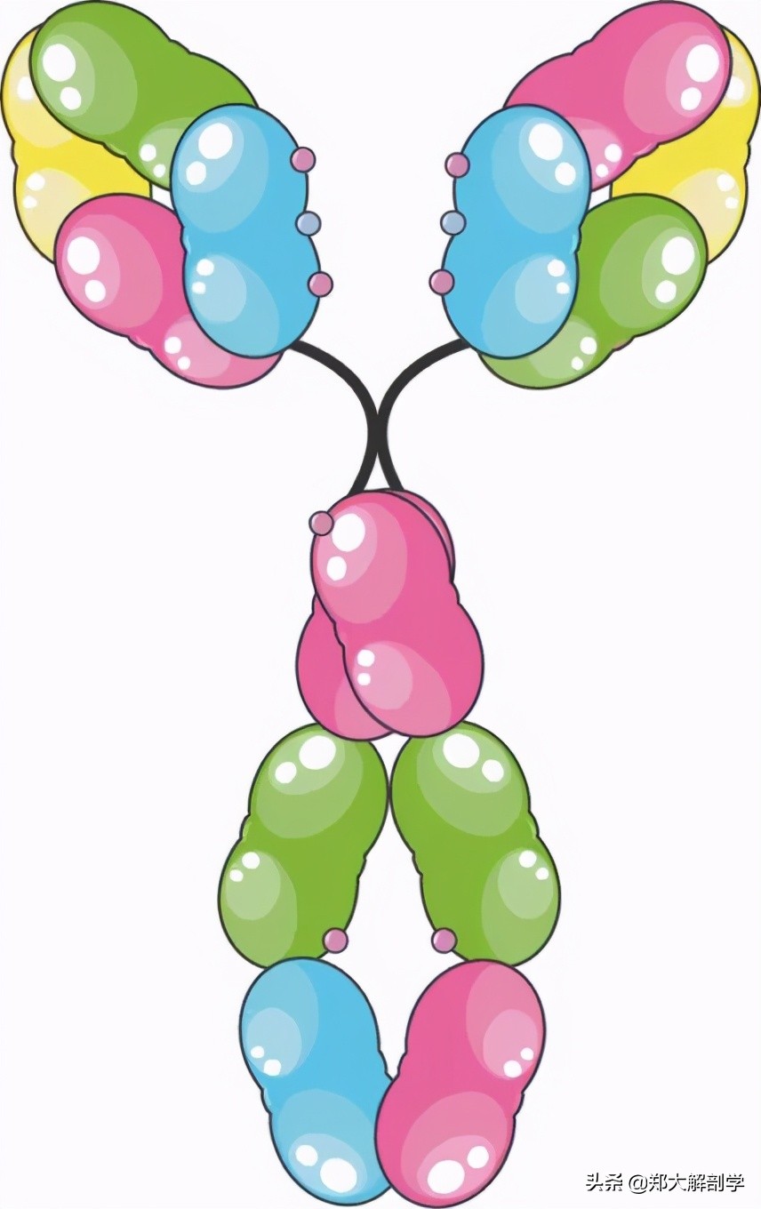 过敏性鼻炎的自愈方法,过敏性鼻炎症状表现有哪些