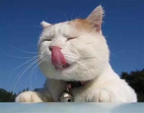 舔舔舔！唇炎找上门来怎么办？！