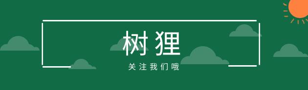 12岁叛逆期怎么教育,12岁孩子厌学辍学叛逆期教育方法