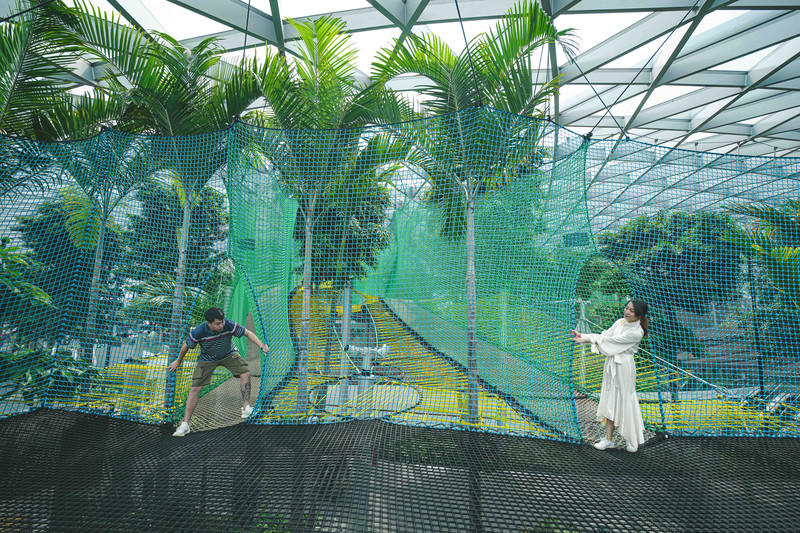 一人一猫环游,一人一猫旅行