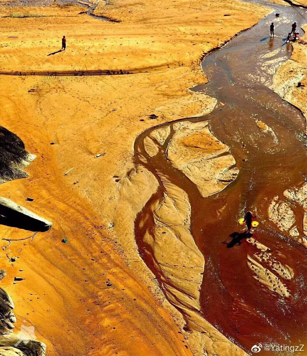 这么一片五彩滩涂奇幻仙境，超惊艳！在福建，厦门动车可以直达