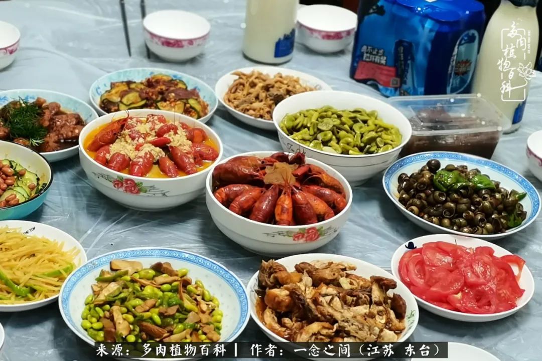 遇见花开蓝莓糖,遇见花开蔬菜沙拉酱