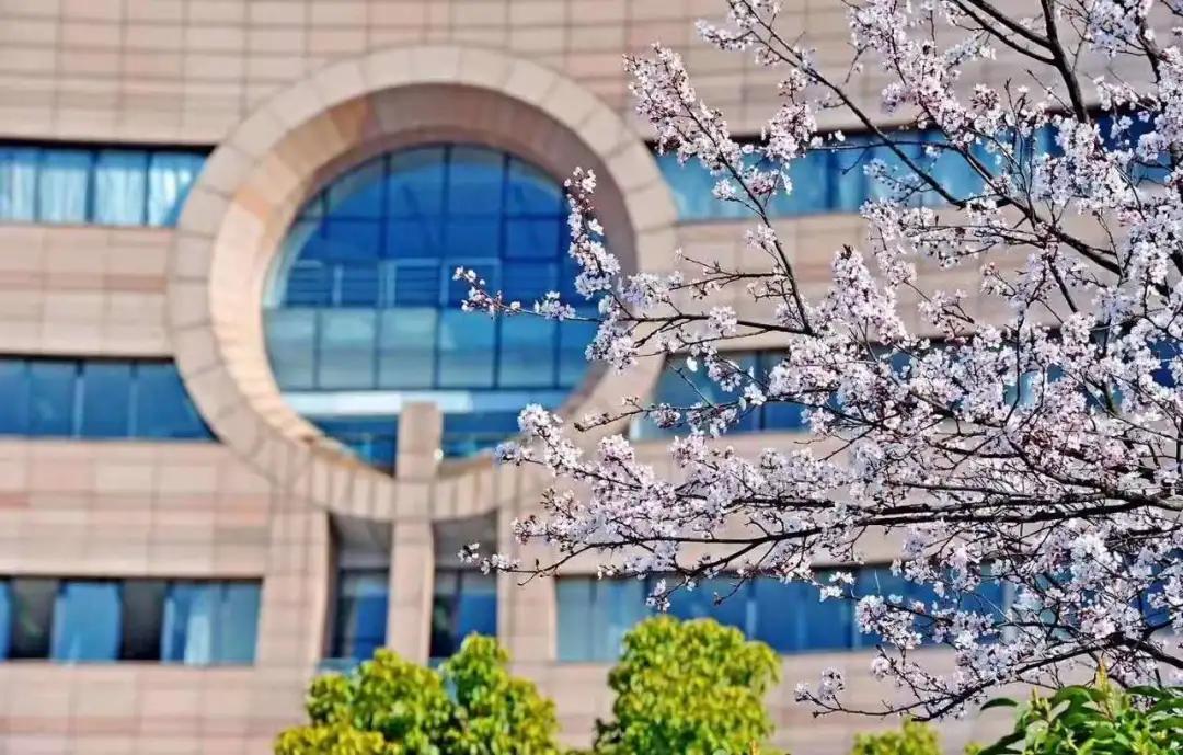 杭州美职学校风景,杭州美丽学校评选