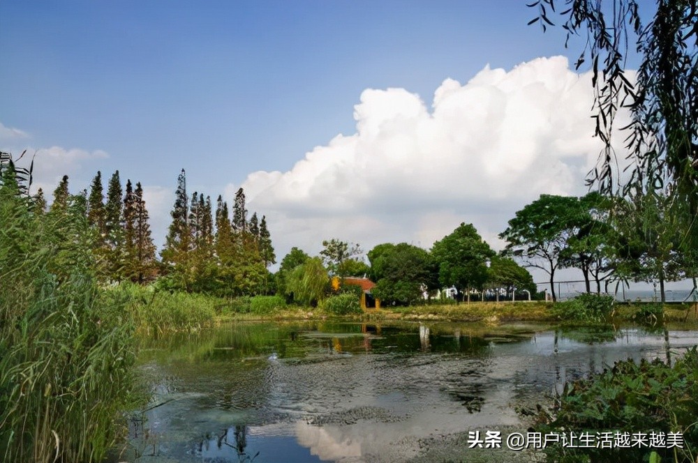 上海淀山湖好去处,上海淀山湖有什么好说