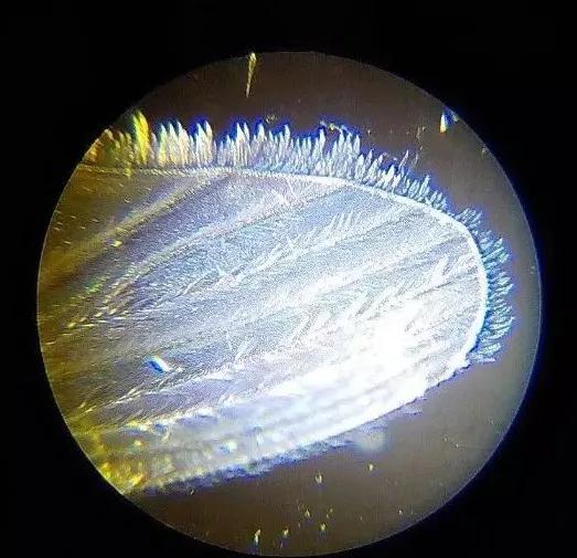 可随身携带的儿童显微镜,kenko儿童显微镜