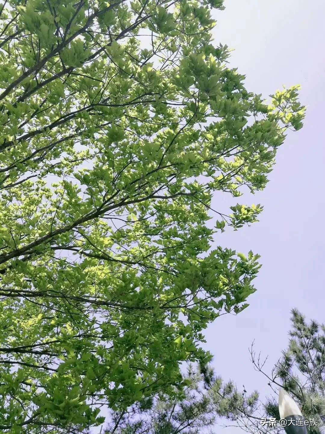 今天大连最新准确消息,大连最近将有什么好消息