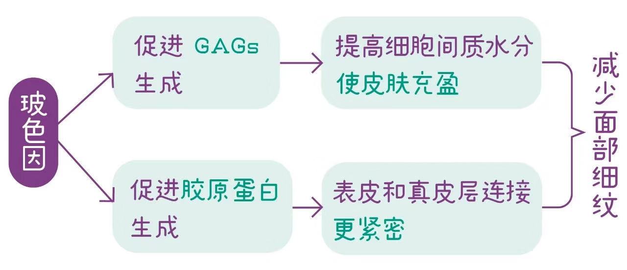 脸下垂用什么抗衰老面霜好,脸垮了怎么改善用什么护肤