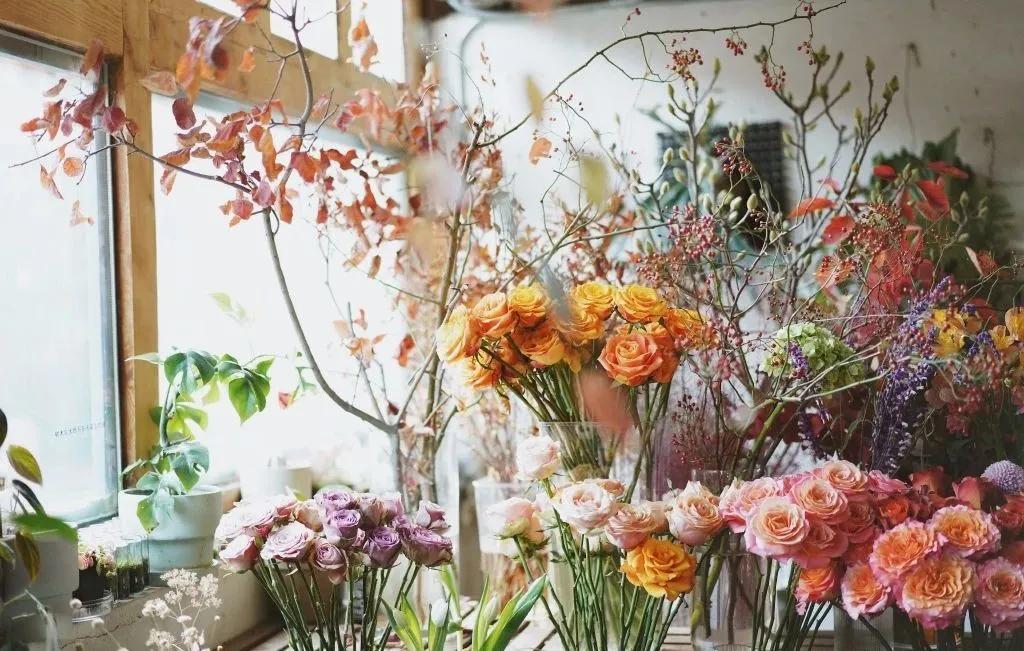 开在胡同里的花店,这家藏在北京老胡同里的花店