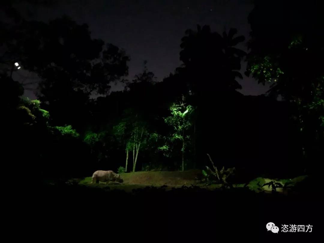 春节去新加坡亲子游记,新加坡亲子游3天2晚自由行含机票