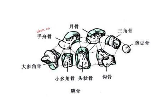 缓解手腕疼痛的小动作,怎么缓解手腕疼的动作