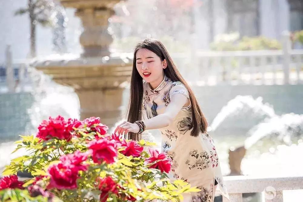 在大连去旅顺华酝牡丹园坐什么车,大连旅顺华酝牡丹园几月份适合去