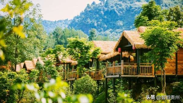 桐梓黔北花海游玩攻略,桐梓旅游黔北花海