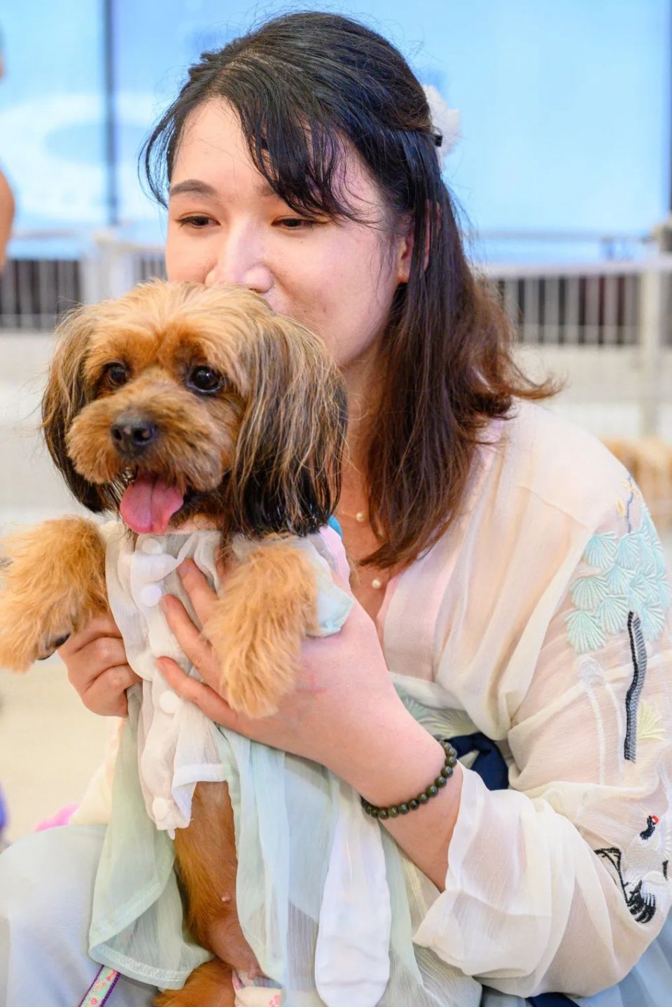 保利MALL 阿派领养日！有只萌宠在call你…