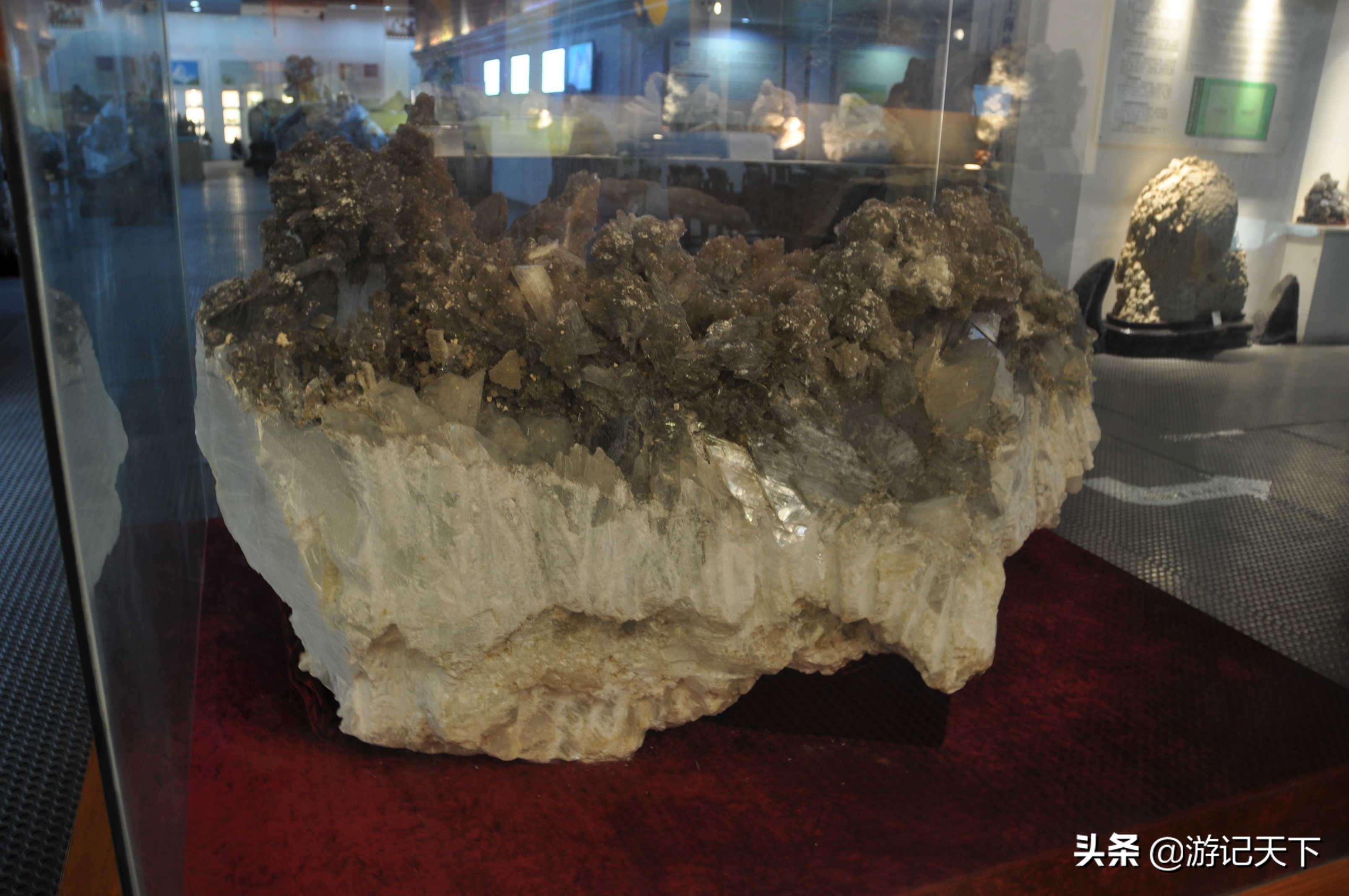 阿尼亚参观博物馆,上海地质科普馆游玩