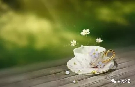 夏天的雨原唱,夏天的雨原创作品