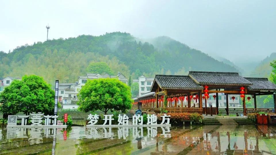 今日头条农村支部书记,浙江党支部书记