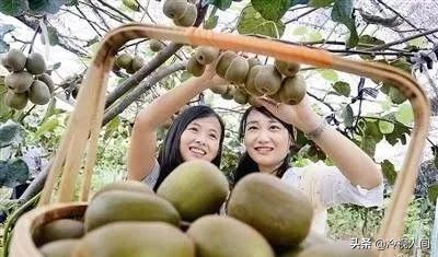 南阳怎样？看完你也会说“中！中！中！”