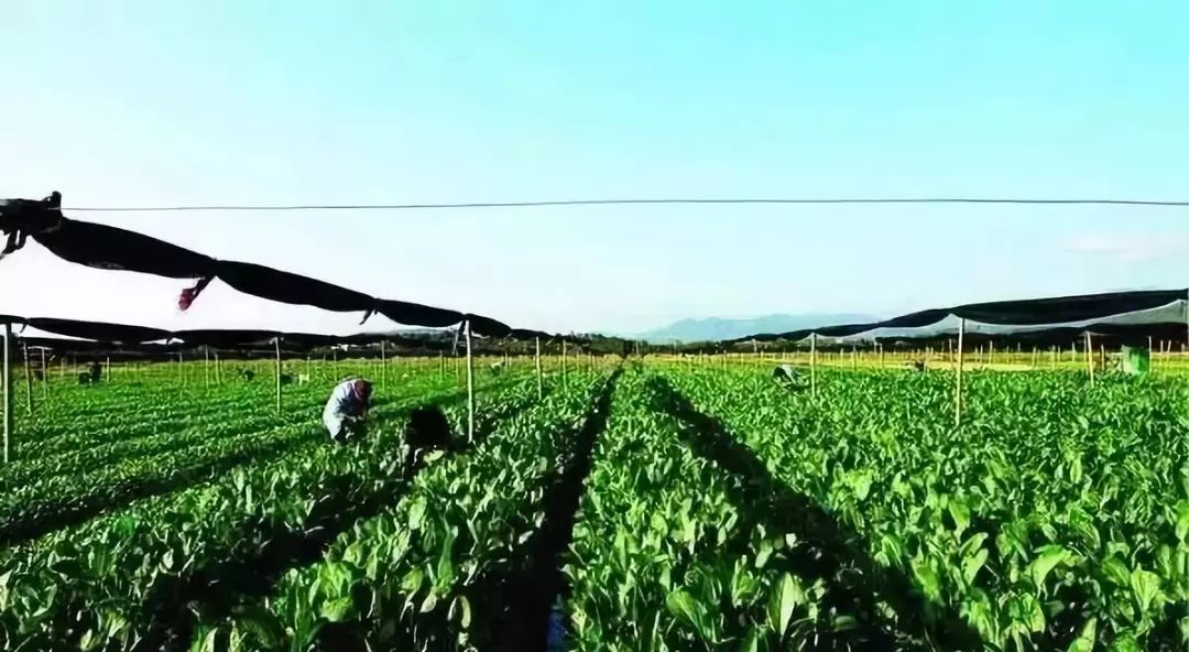 做什么行业比房地产好赚钱,现在除了房地产还有什么赚钱行业