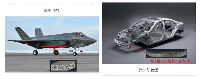 超牛年轻科学家,四川超牛科研填补世界空白