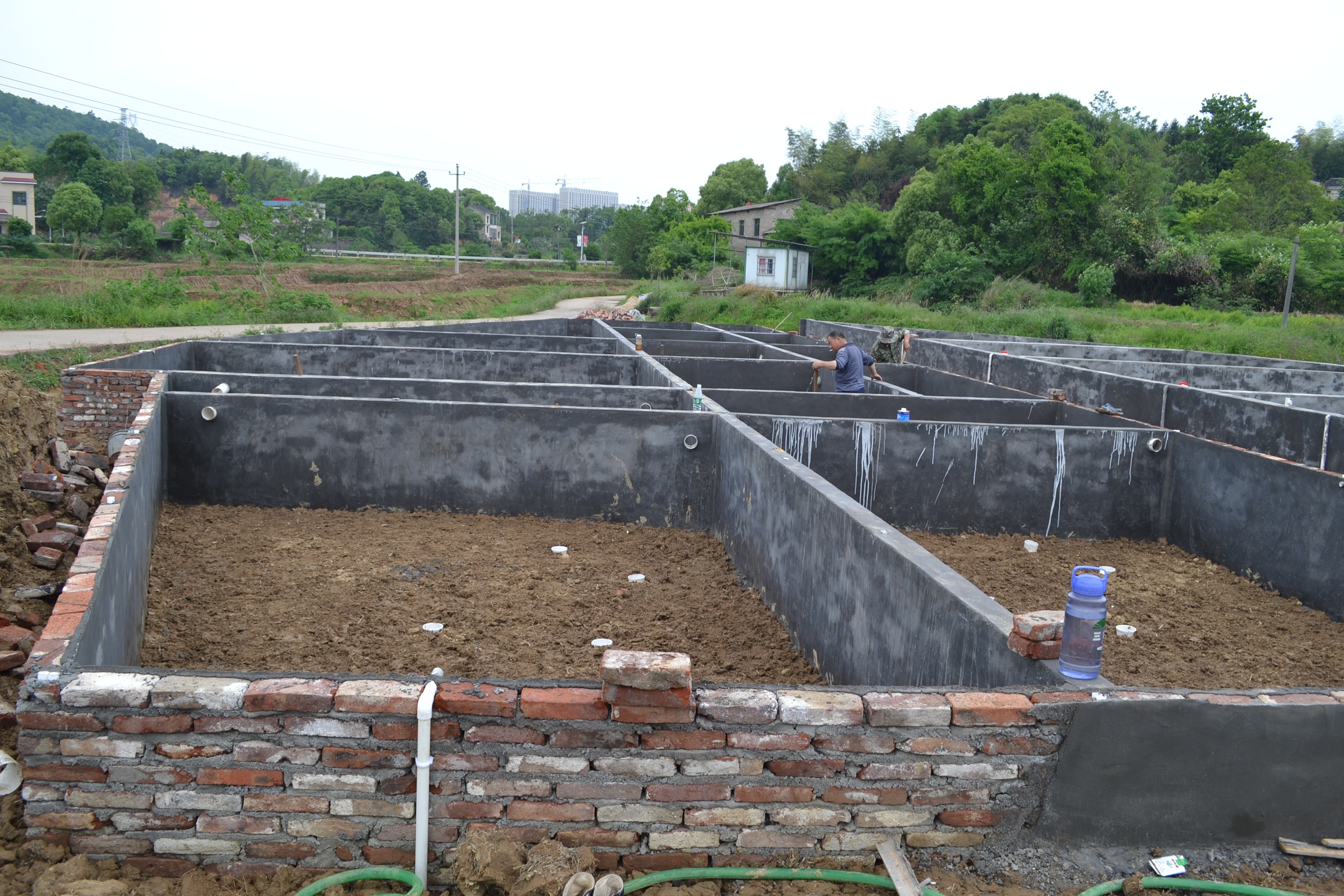 湖南最好的锦鲤养殖基地,湘潭锦鲤养殖