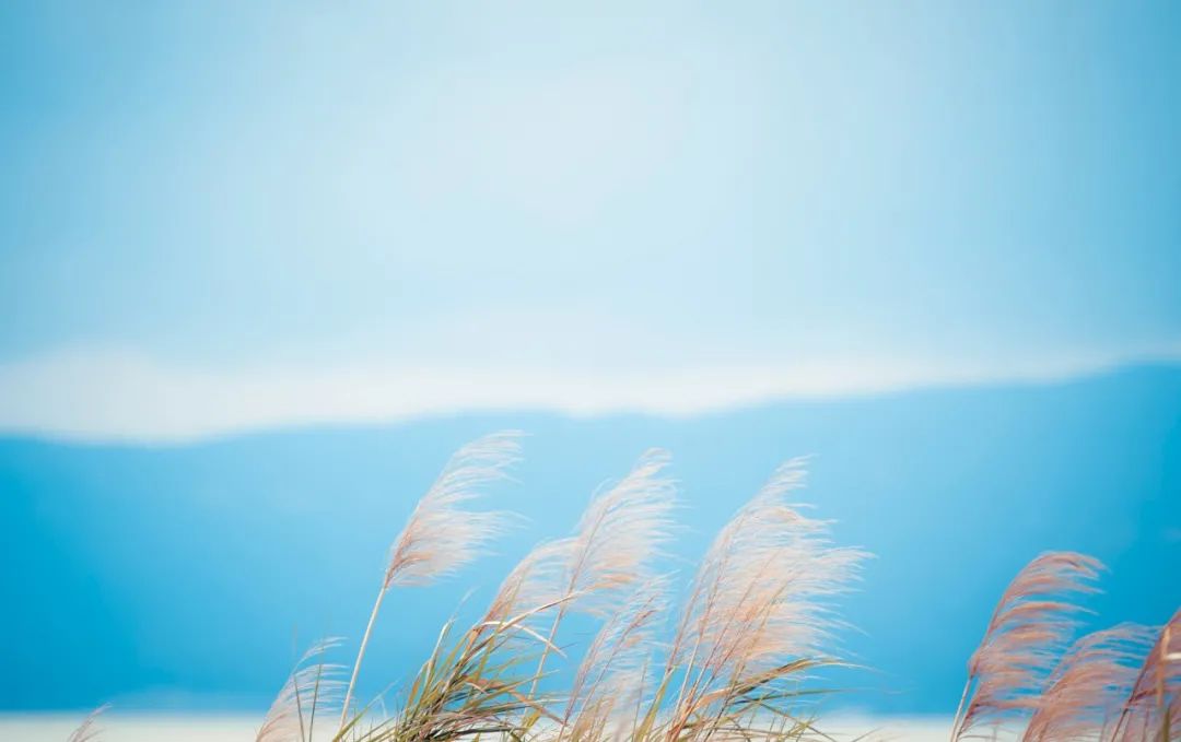 秋天最美瞬间,秋季最美十个瞬间