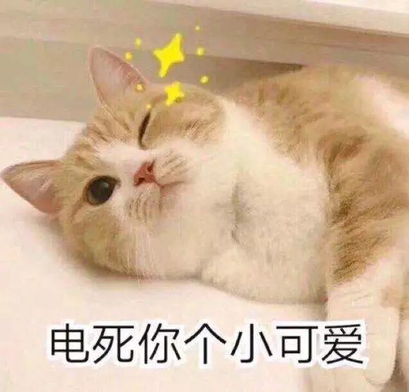 证券etf和券商etf定投哪个好,定投etf年化收益