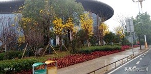 城市双修项目,城市双修建设效果图