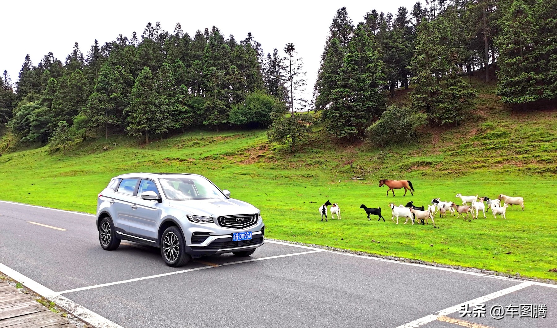 路特斯pro,路特斯汽车测评