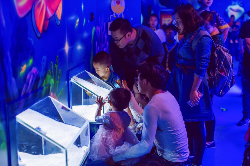 bobozoo室内动物园,bobozoo室内动物园有河马吗