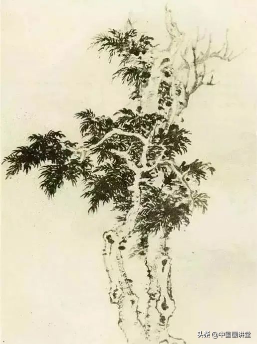 缠枝、挺杆、屈节、钮裂、一棵树如何画？看了这篇你绝对能学会