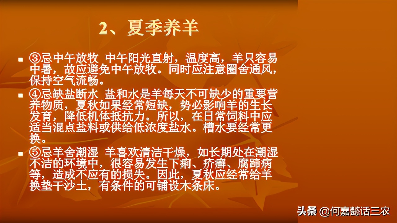 何嘉懿讲兽医养殖技术,何嘉懿的养殖方法