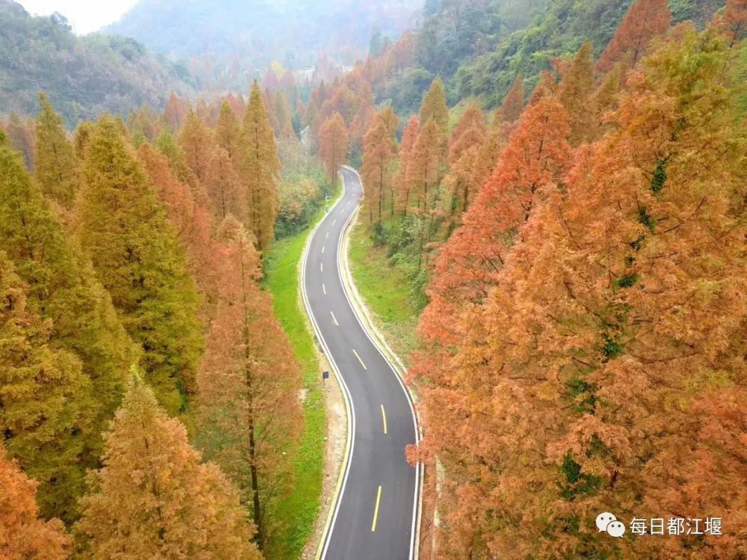 赵公山大熊猫国家生态公园,赵公山大熊猫生态公园